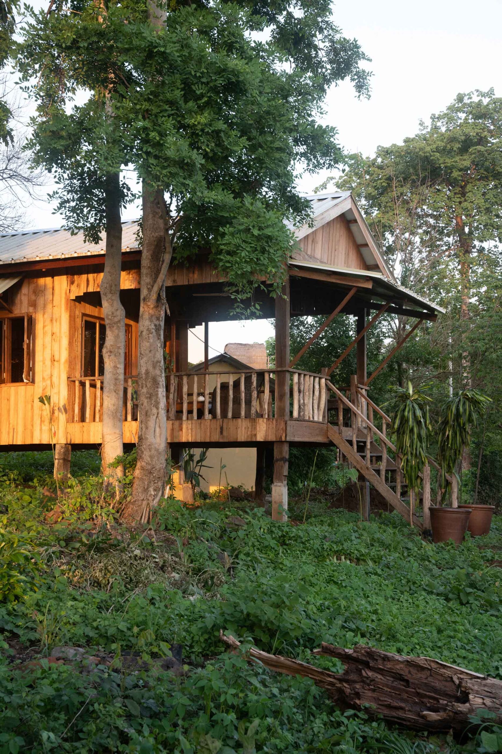 Bungalow d’Aïravata en pleine nature