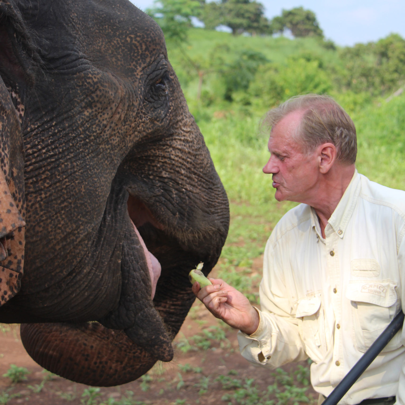 Dan Koehl, spécialiste international des éléphants