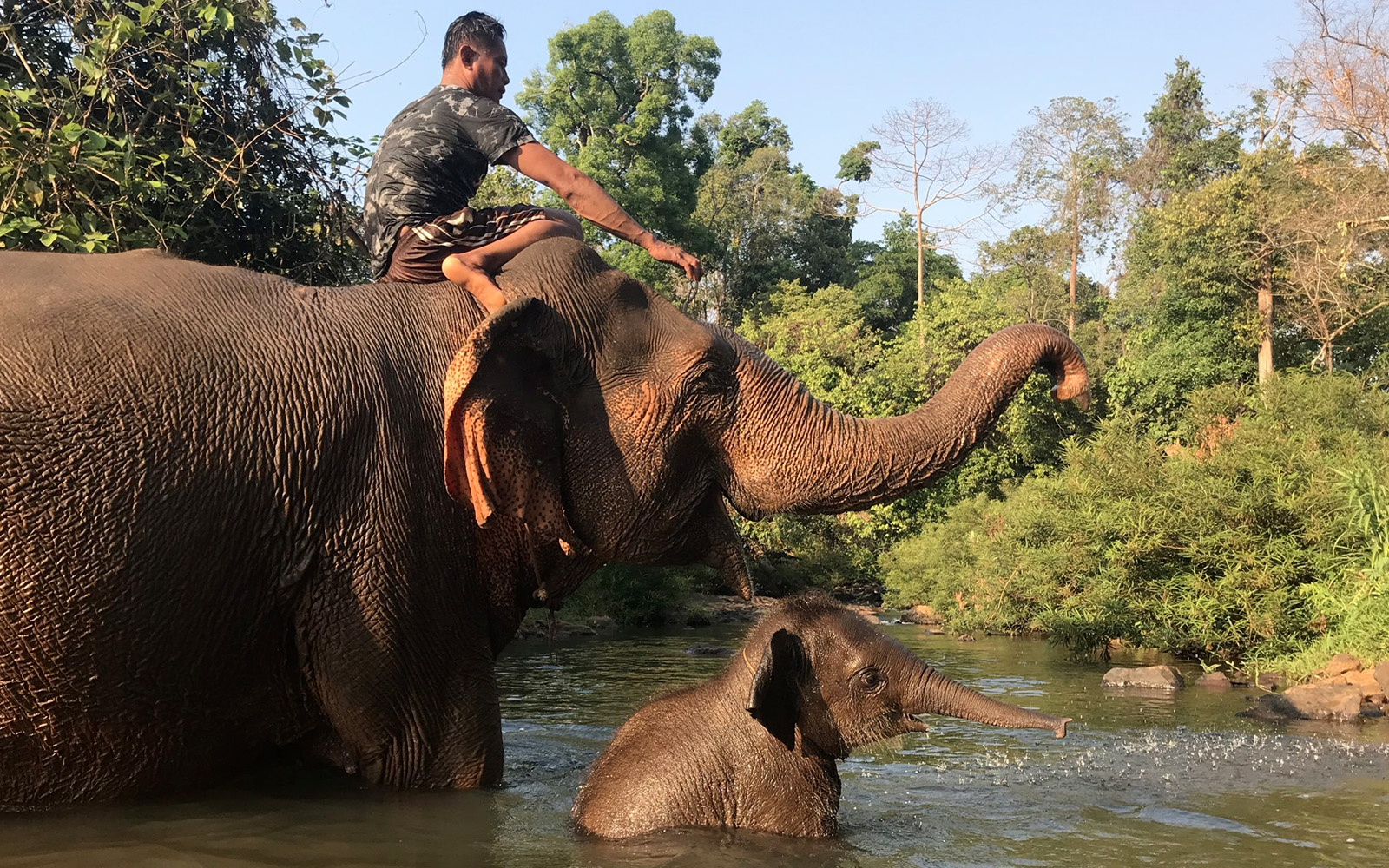 Les éléphants d'Airavata