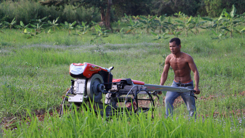 Chamkar Damnak : une ferme biologique au cœur de Kep-Kampot