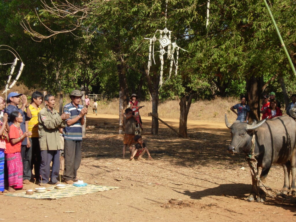 Ethnographie – Le sacrifice du buffle