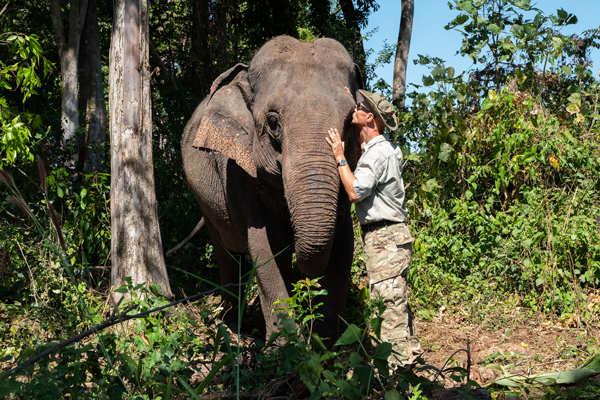 L’équipe d’Aïravata engagée dans la protection des éléphants au Cambodge