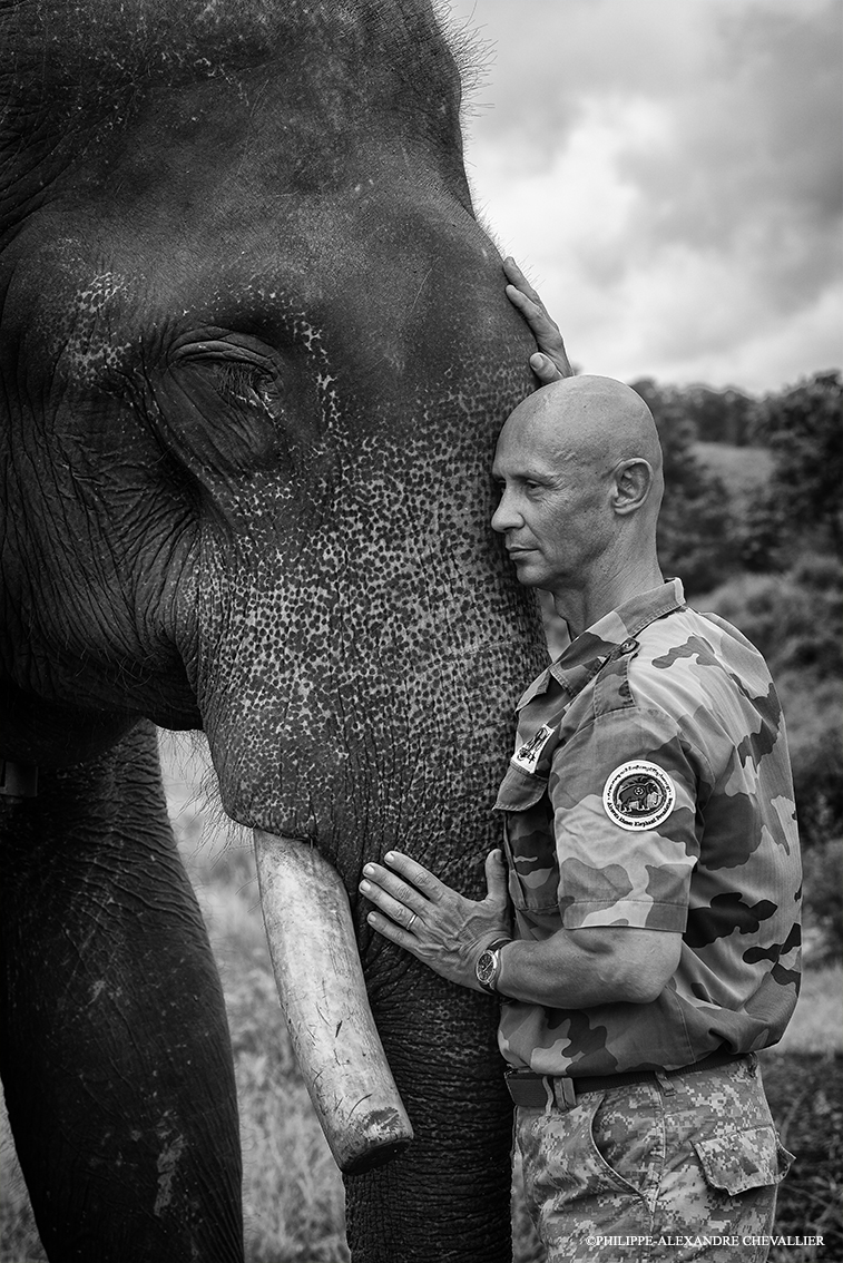 Bak Maï, éléphant accueilli et réhabilité par Aïravata