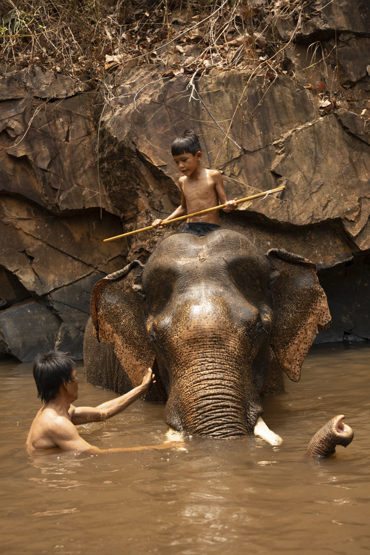 Kamsen, éléphant accueilli par Aïravata