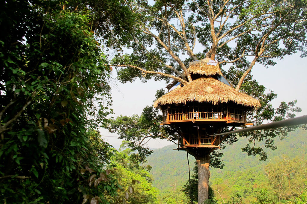 Maison installée dans les arbres au cœur de la forêt