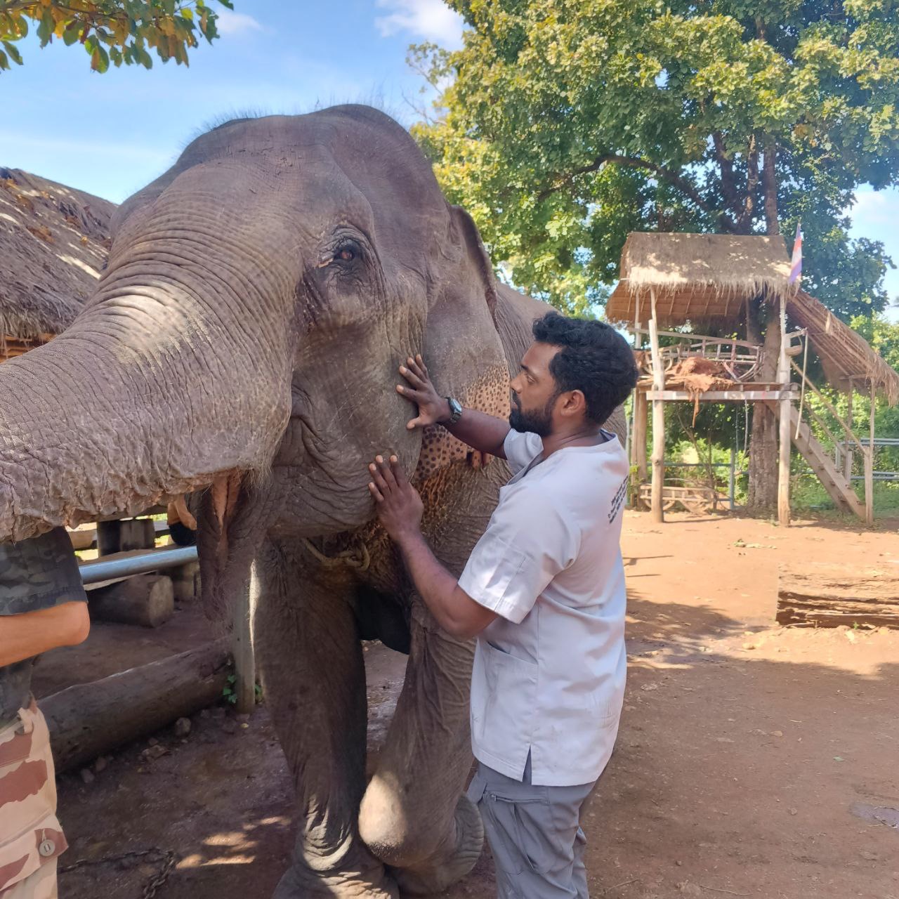 Dr Roopan Navaneetha Krishnan, vétérinaire spécialisé dans les éléphants d’Asie